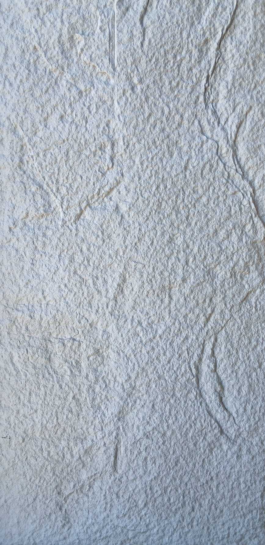 BC9CFDBF 0561 4EA4 9925 8D9390B0DED3